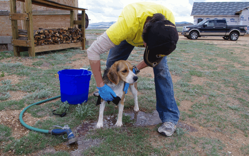 Nice to get a bath... but the rinse was cold!